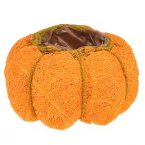 Pumpkin plant pot orange/yellow-green made of sisal Ø15cm H9cm