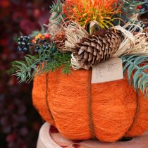 Product Pumpkin plant pot orange/yellow-green made of sisal Ø15cm H9cm