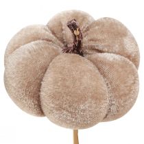 Product Decorative pumpkin made of fabric on a stick yellow brown orange Ø7cm 9 pcs