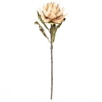 Product Artificial Plant Artichoke Cream Dry Look Ø15cm 73cm