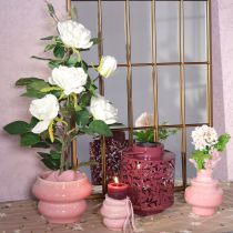 Product Lantern with leaf motif, solar powered, for atmospheric outdoor lighting, 25cm