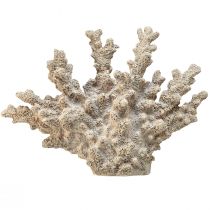 Product Detailed coral decoration made of polyresin in grey – 26 cm – Maritime elegance for your home