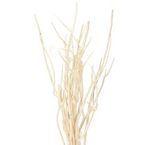 Product Mitsumata branches white 34-60cm 12 pcs