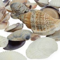 Product Mussel mix natural 400g