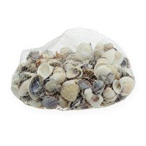 Product Mussel mix natural 400g