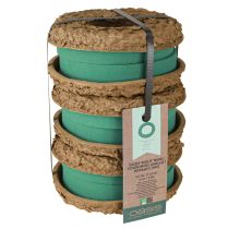 Product OASIS® Biolit® ring/wreath 17cm 6 pcs
