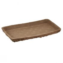 Product Oasis Biolit base for floral foam bricks 25×14×2cm 11 pcs