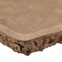 Product Oasis Biolit base for floral foam bricks 25×14×2cm 11 pcs