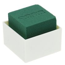 Product OASIS® Table Design 6cm Neo &amp; Viva 24 pcs