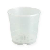 Plant pot for orchids Ø12cm transparent 10pcs