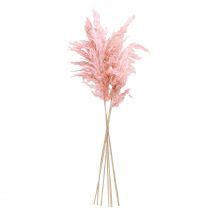 Product Dried Pampas Grass Pink 65-75cm Dried Flower Decoration 6 pcs.