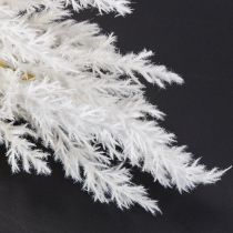 Product White Pampas Grass Artificial Dried Grasses Artificial Plants
