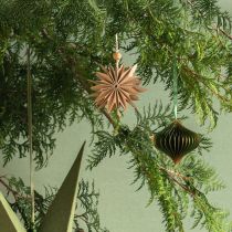 Product Paper stars for hanging stars brown white 12cm 6 pcs