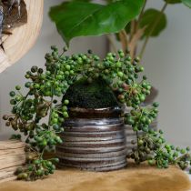 Product Green plant artificial pearl string in moss ball 38cm