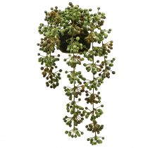 Product Green plant artificial pearl string in moss ball 38cm