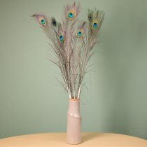 Product Peacock feather decoration, real bird feathers, long 75-85cm, 8 pieces