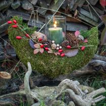 Product Plant Bowl on Base Moss Decoration Half Moon 40×15×30cm