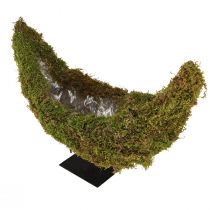 Product Moss decorative planter, crescent shape with metal base, natural decoration for living space & celebrations, 40×15×30cm
