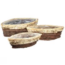 Product Plant boats wood bark 3-coloured 33.5/40/48cm set of 3