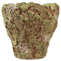 Product Plant pot rustic planter green brown Ø21cm H19.5cm