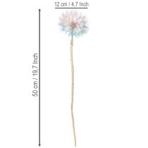 Product Dandelion decoration, dried flower, stabilized and dyed, delicate, durable, 12cm, 4 pieces