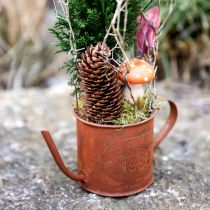 Product Rust decorative watering can mini plant pot metal Ø10cm H9cm
