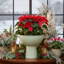 Product Metal Plant Bowl with Stand, 25cm, Green Granite Look