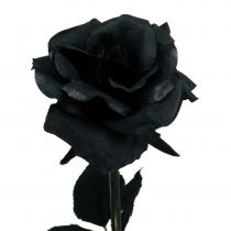 Product Rose Silk Flower Black 63cm