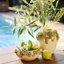 Product Ceramic bowl with lemons – Mediterranean decorative bowl for table &amp; kitchen Ø21.5cm H8.5cm