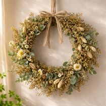 Product Dried flowers Broom Bloom Olive Green 160g 48cm