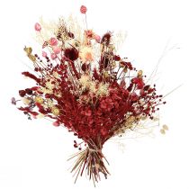 Product Dried flower bouquet, wine red, decorative thistle, 40cm, 80g