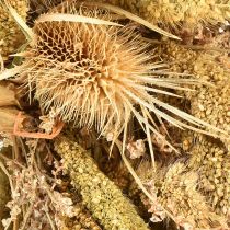 Product Dried wreath thistles millet yellow olive green Ø28cm