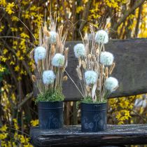Product Planter Dandelion Flowerpot Black Ø15.5cm H15.5cm
