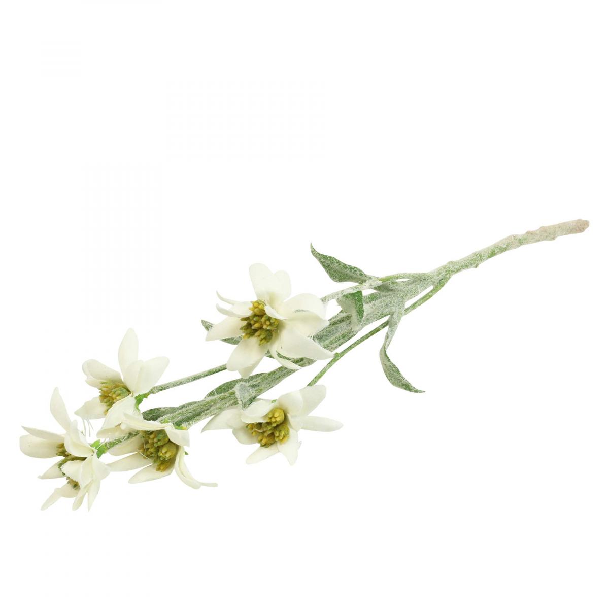 Floristik24.co.uk Edelweiss artificial flower white flocked 38cm68626