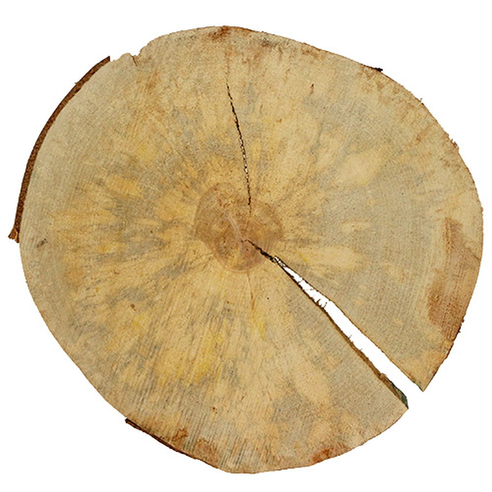 Floristik24.co.uk Wood disc natural 25cm - 30cm-26360