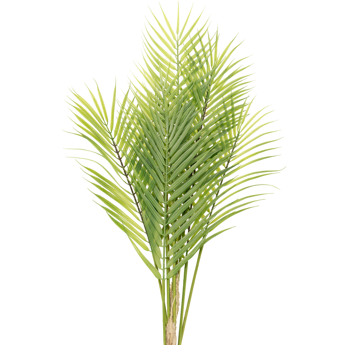 Advent wreath A like alpine flowers