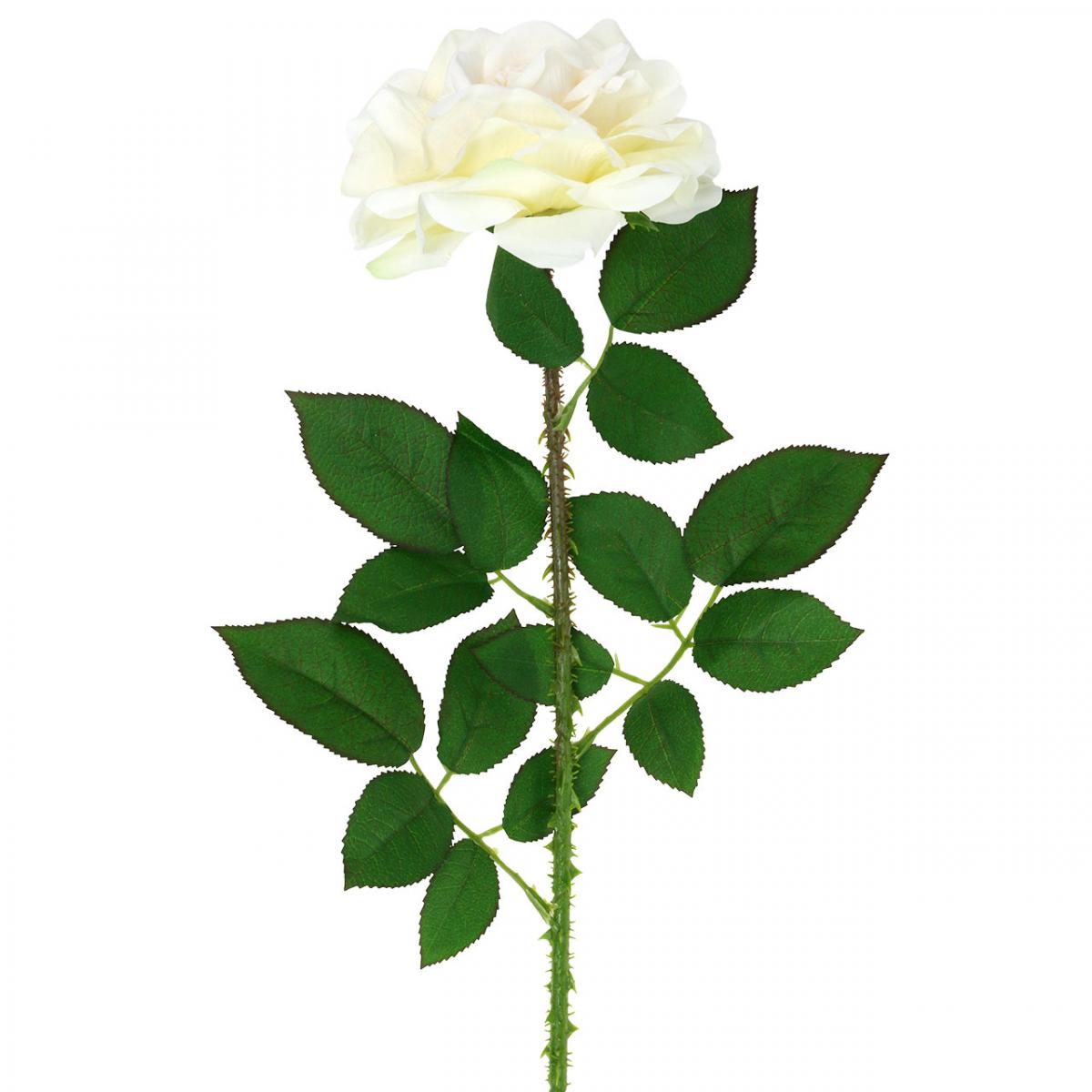 Floristik24.co.uk Silk flower, rose on a stem, artificial plant cream