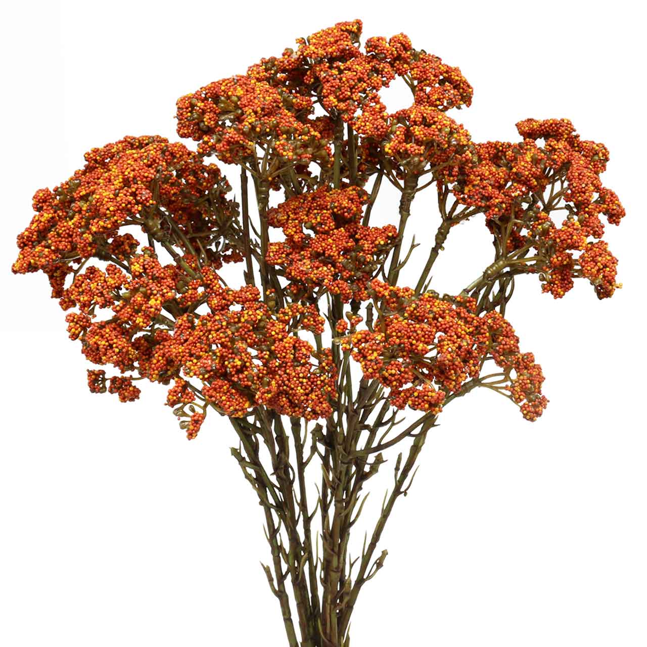 Floristik24.co.uk Yarrow artificial orange 74cm 3pcs68467