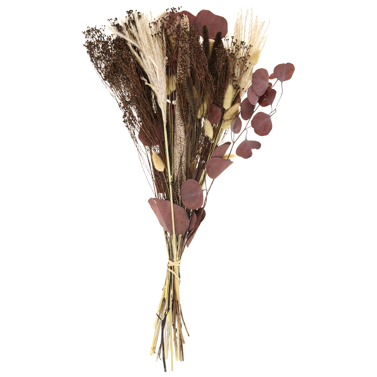 Floristik24.co.uk Dry bouquet eucalyptus dry grass bouquet 60cm 120g221840