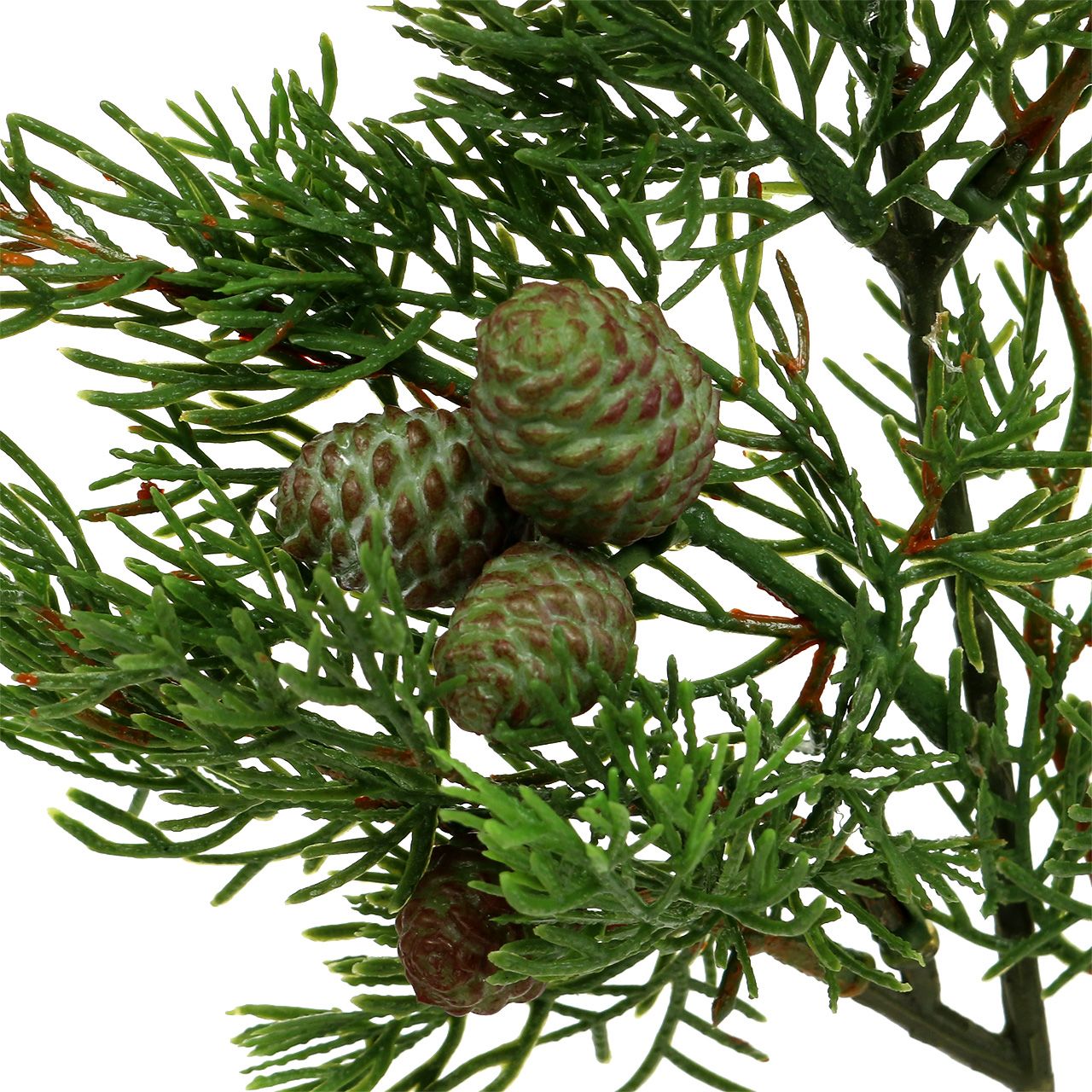 Floristik24.co.uk Juniper branch with cones green 39cm 3pcs buy cheap