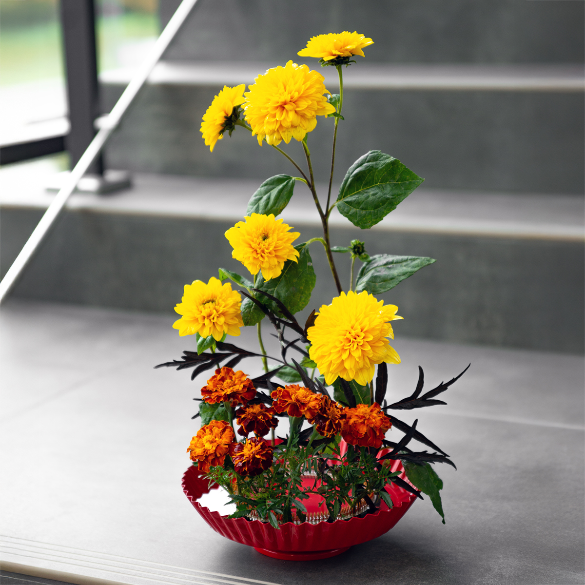 Anschneidemaschine A like alpine flowers 