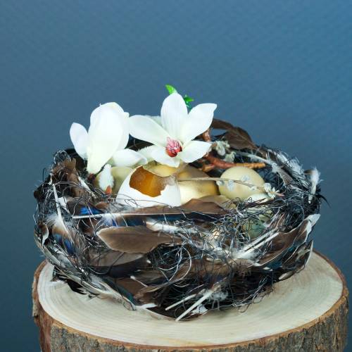 Product Tree disc blue bell tree natural Ø20-24cm 1pc