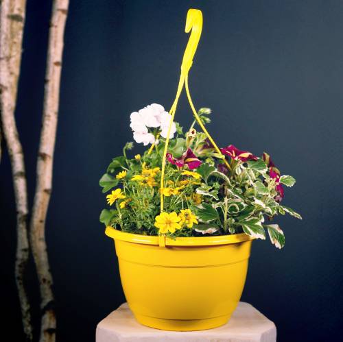Flower basket Ø30cm terracotta
