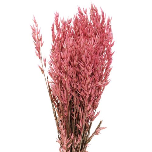 Dried flowers, oats dried grain decorative pink 65cm 160g