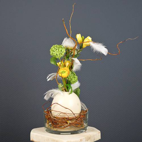 Product Ostrich egg natural blown out empty decoration