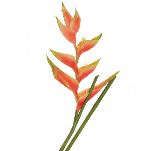 Heliconia artificial artificial flowers exotic pink, green H103cm