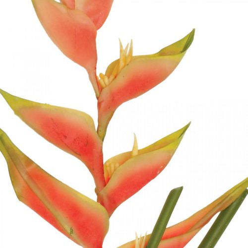 Product Heliconia artificial artificial flowers exotic pink, green H103cm