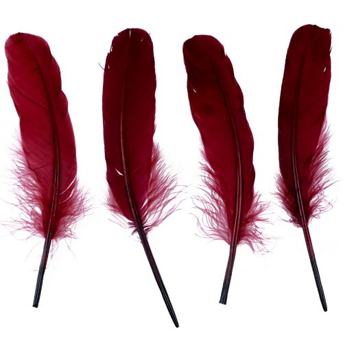 Floristik24 Decorative feathers for crafts, real bird feathers, wine red, 20g