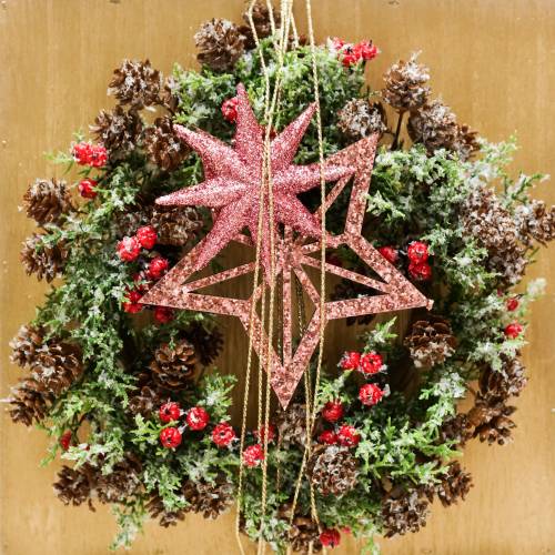 Floristik24 Cone wreath snowed Ø27cm