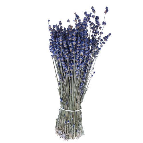 Dried lavender deco dried flowers 25cm 5 bunches 350g